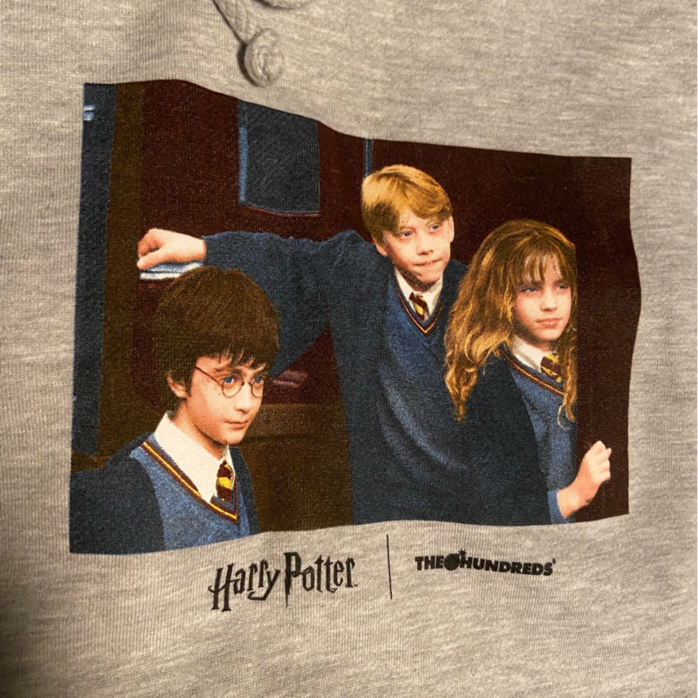 Harry Potter pullover hooded sweatshirt by The Hundreds Size XL